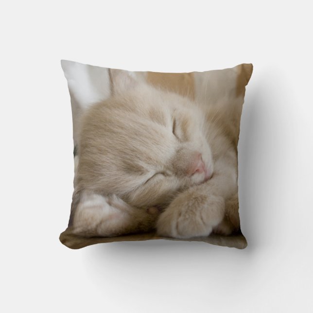 Coussin Chaton de sommeil (Recto)