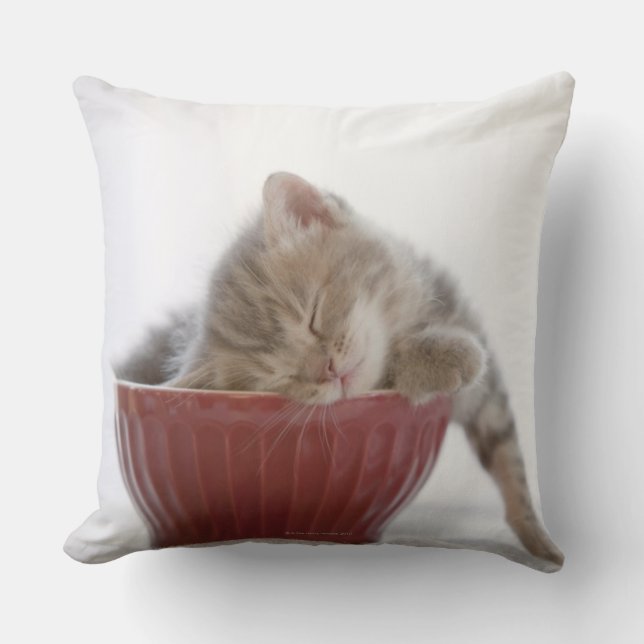 Coussin Chaton dormant dans la cuvette (Recto)
