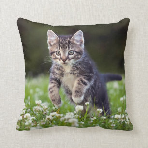 Coussin Chaton fonctionnant par le trèfle