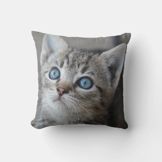 Coussin Chaton mignon dans le jardin (Recto)