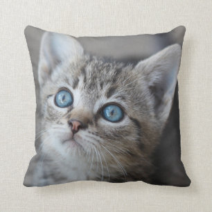 Coussin Chaton mignon dans le jardin