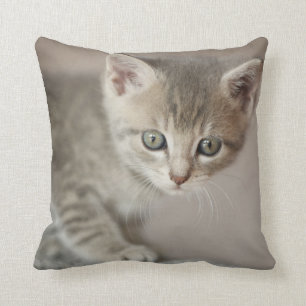 Coussin Chaton minuscule