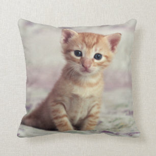 Coussin Chaton minuscule de gingembre