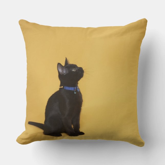 Coussin Chaton noir dans le collier (Recto)