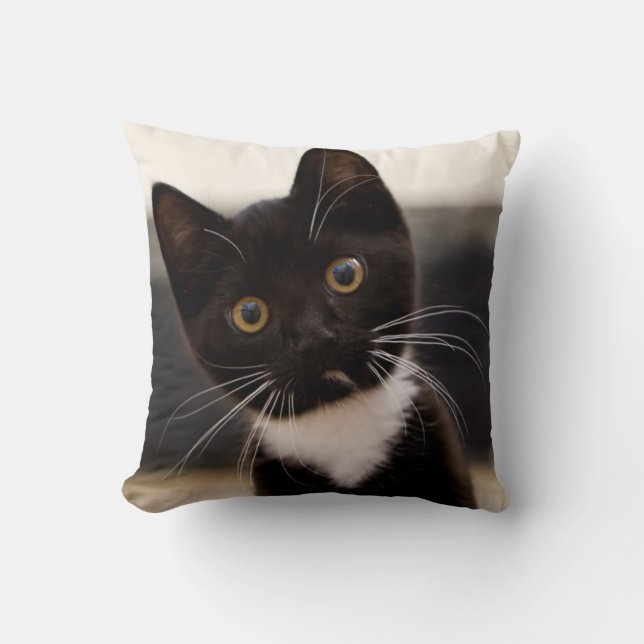 Coussin Chaton noir et blanc mignon de smoking (Recto)