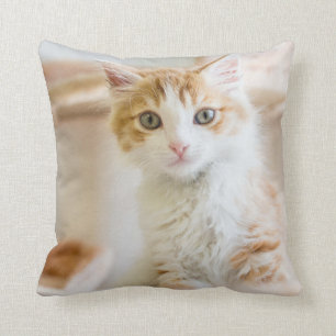 Coussin Chaton orange et blanc