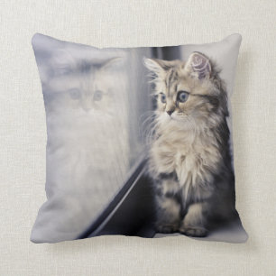 Coussin Chaton regardant la fenêtre