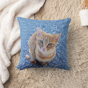 Coussin Chaton rouge mignon sur bleu