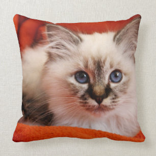 Coussin Chaton sacré de Birman