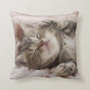 Coussin Chaton somnolent