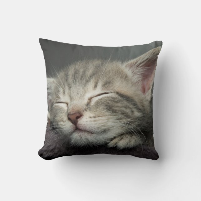 Coussin Chaton somnolent (Recto)