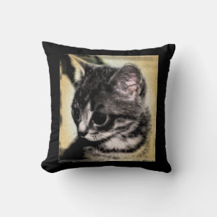 Coussin Chaton tigré