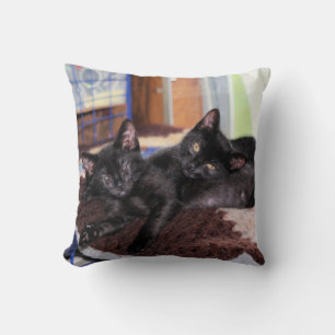 Coussin Chatons