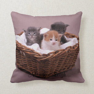 Coussin Chatons dans un panier