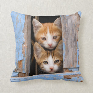 Coussin Chatons mignons dans une fenêtre vintage, carré