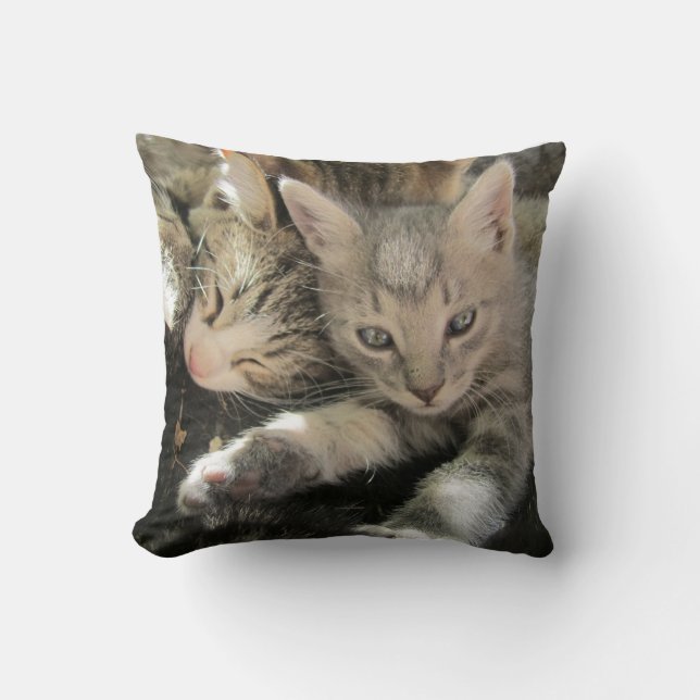 Coussin Chatons mignons de caresse (Recto)
