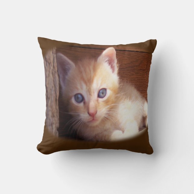 Coussin Chats (Recto)