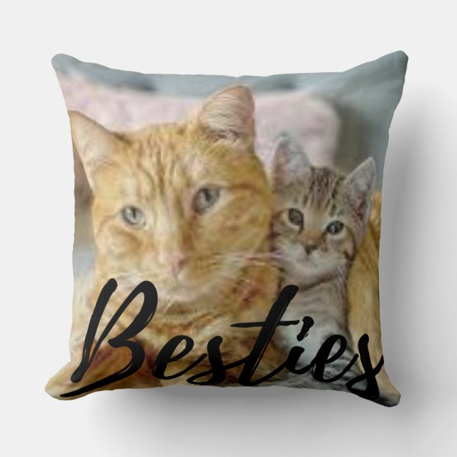 Coussin Chats [Besties] Lancer l'oreiller (Recto)