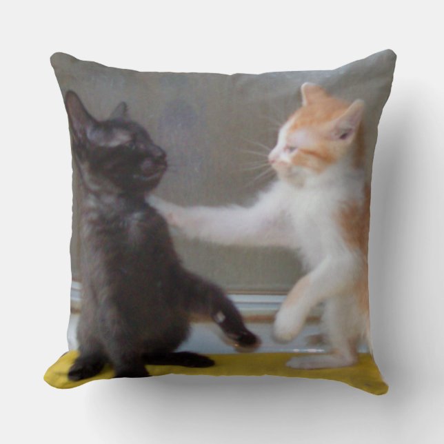Coussin Chats de moëlle 34 Carrés Lève-oreiller (Recto)