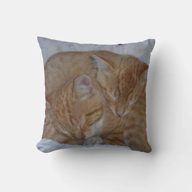 Coussin Chats endormis (Recto)