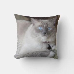 Coussin Chatte Ragdoll