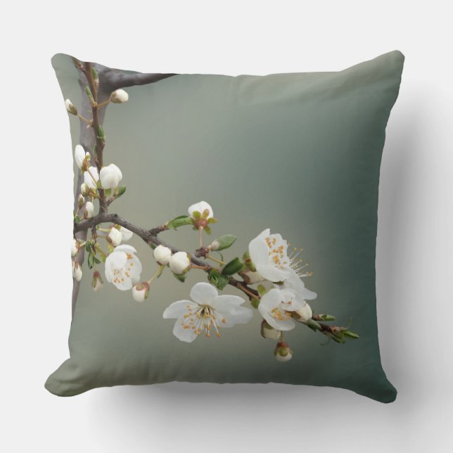 Coussin chaud (Recto)