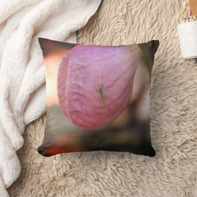 Coussin Chaussure Lady Rose Avec Insecte Verte Visite (Couverture)
