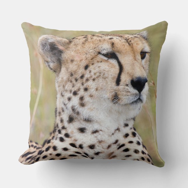 Coussin Cheetah (Recto)