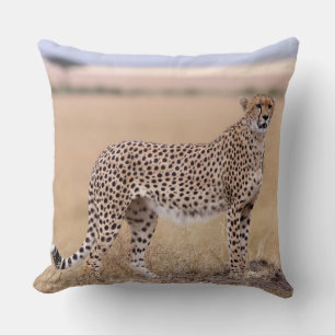 Coussin Cheetah