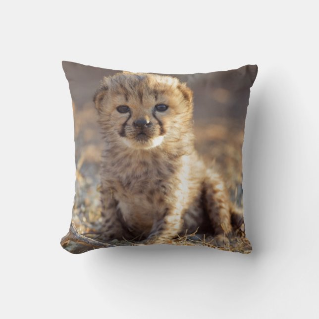 Coussin Cheetah 19 jours bébé mâle (Recto)