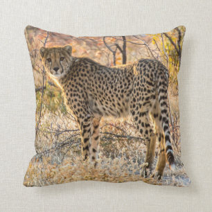 Coussin Cheetah regarde autour de lui