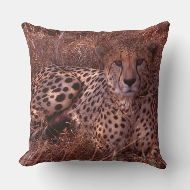 Coussin Cheetah Stare (Recto)
