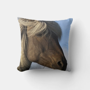 Coussin Chef de cheval islandais, Islande