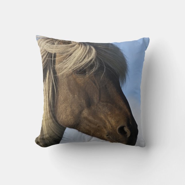 Coussin Chef de cheval islandais, Islande (Recto)