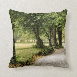 Coussin Chemin dans le pays