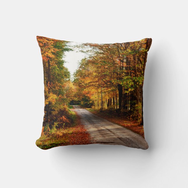 Coussin Chemin de bois avec feuillage de chute (Recto)