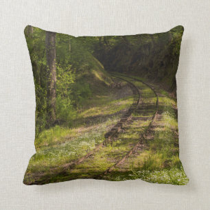 Coussin Chemin De Fer Abandonné Dans Une Forêt