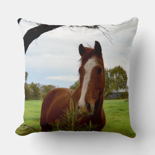 Coussin Chestnut Horse Sniffing A Banksia Tree (Recto)