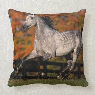 Coussin Cheval arabe : Automne 1
