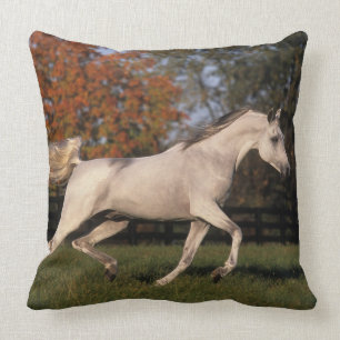 Coussin Cheval arabe : Automne 2