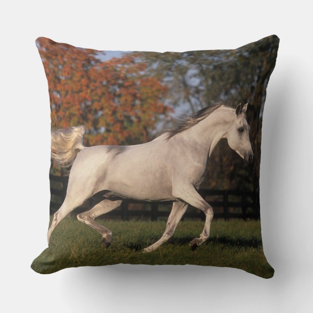Coussin Cheval arabe : Automne 2 (Recto)