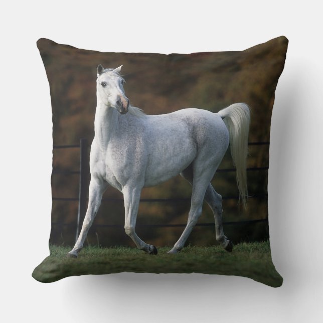 Coussin Cheval arabe courant 1 (Recto)