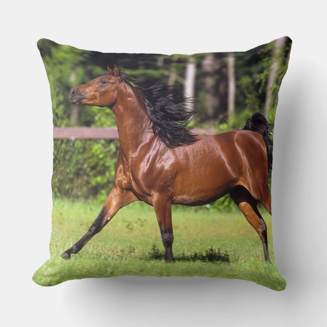 Coussin Cheval arabe courant 2 (Recto)