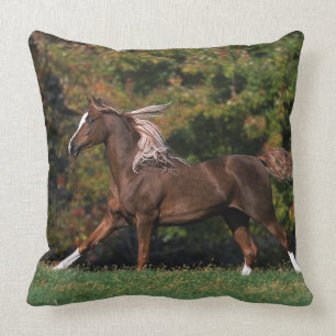 Coussin Cheval arabe fonctionnant dans le domaine herbeux