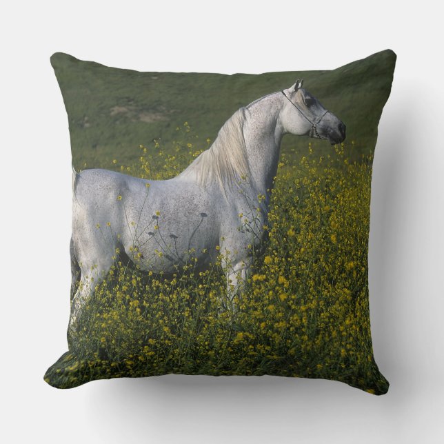 Coussin Cheval arabe se tenant en fleurs (Recto)