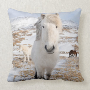 Coussin Cheval Blanc Islandais, Islande