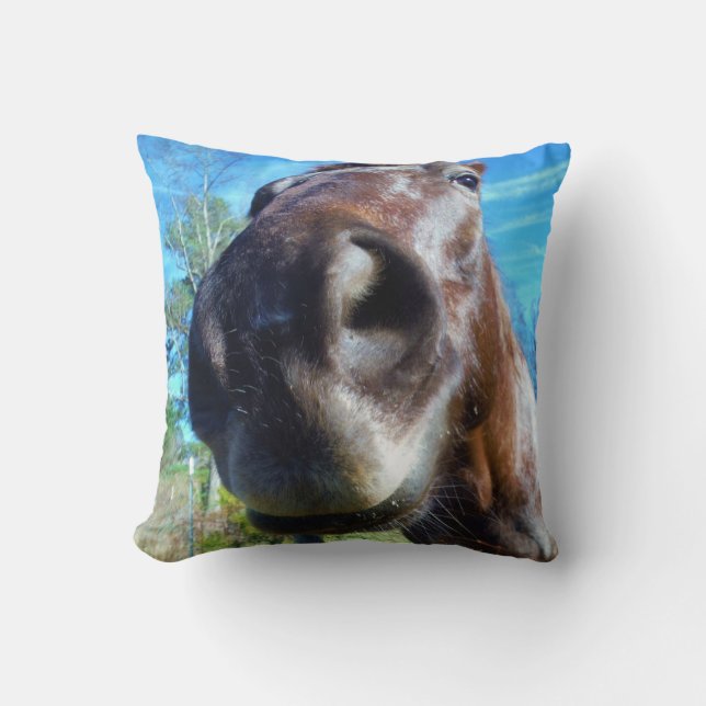 Coussin Cheval brun visage drôle ciel bleu sarcelle (Recto)