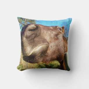 Coussin Cheval brun visage drôle ciel bleu sarcelle
