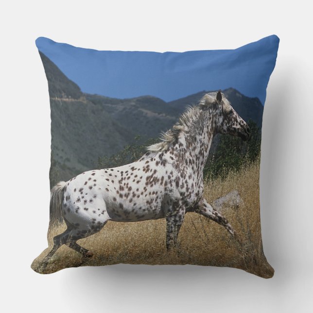 Coussin Cheval d'Appaloosa courant la montagne (Recto)