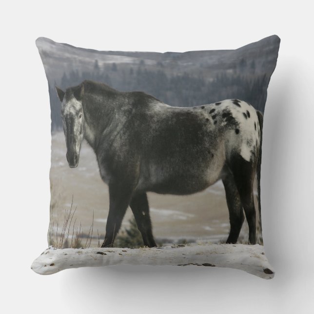 Coussin Cheval d'Appaloosa dans la neige (Recto)